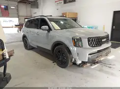 5XYP3DGC8RG553869 2024 KIA TELLURIDE