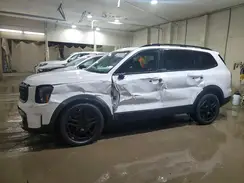 5XYP3DGC8SG565736 2025 KIA TELLURIDE