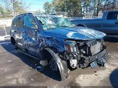 5XYP3DGC8SG578244 2025 KIA TELLURIDE