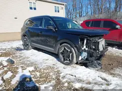 5XYP3DGC8SG581161 2025 KIA TELLURIDE