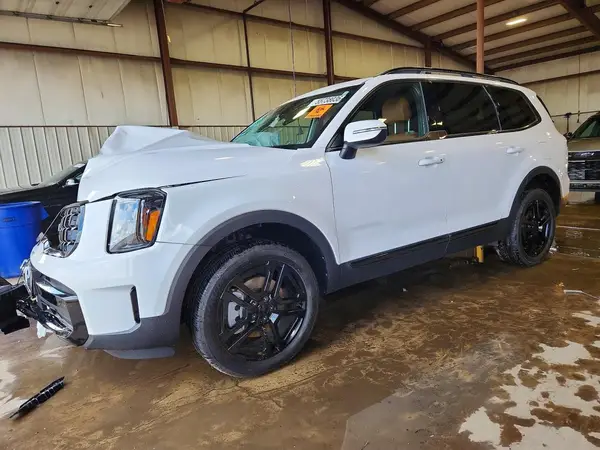 5XYP3DGC8SG614465 2025 KIA TELLURIDE - Image 1