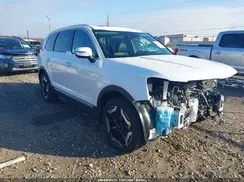 5XYP3DGC8SG643836 2025 KIA TELLURIDE