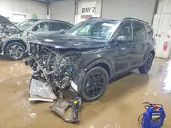 5XYP3DGC8SG702254 2025 KIA TELLURIDE