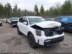 5XYP3DGC8SG705364 2025 KIA TELLURIDE
