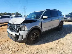 5XYP3DGC9RG419842 2024 KIA TELLURIDE