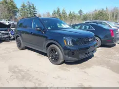 5XYP3DGC9RG482987 2024 KIA TELLURIDE