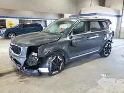 5XYP3DGC9RG490622 2024 KIA TELLURIDE