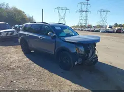 5XYP3DGC9RG490653 2024 KIA TELLURIDE
