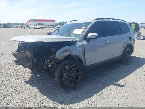 5XYP3DGC9RG492922 2024 KIA TELLURIDE - Image 2
