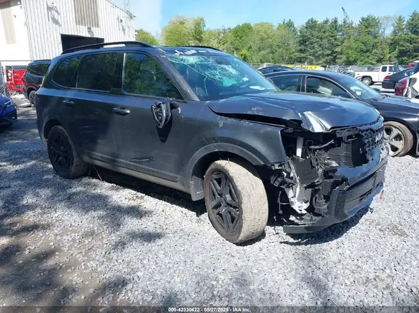 5XYP3DGC9RG539740 2024 KIA TELLURIDE - Image 1