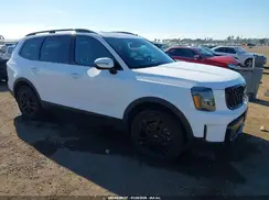 5XYP3DGC9RG542007 2024 KIA TELLURIDE