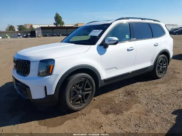 5XYP3DGC9RG542007 2024 KIA TELLURIDE - Image 2