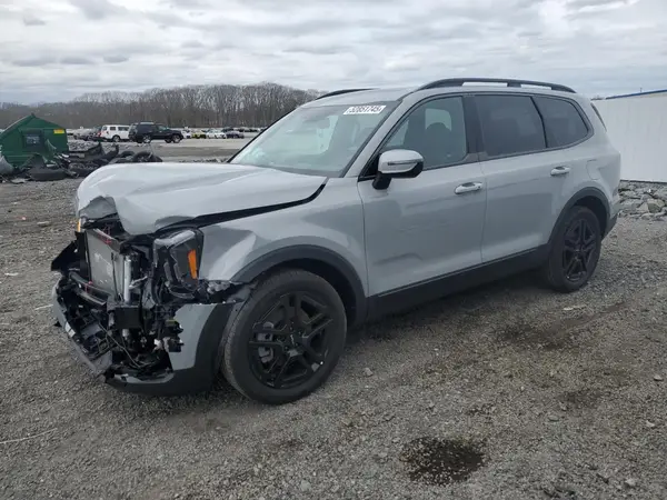 5XYP3DGC9RG564041 2024 KIA TELLURIDE - Image 1