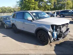 5XYP3DGC9SG574882 2025 KIA TELLURIDE