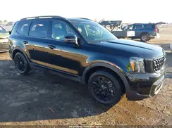 5XYP3DGC9SG577135 2025 KIA TELLURIDE
