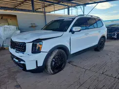5XYP3DGC9SG592346 2025 KIA TELLURIDE