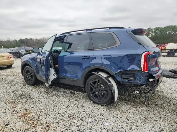 5XYP3DGC9SG602969 2025 KIA TELLURIDE - Image 2
