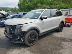 5XYP3DGC9SG640489 2025 KIA TELLURIDE