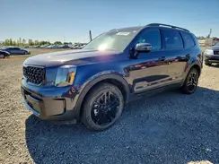 5XYP3DGC9SG641433 2025 KIA TELLURIDE