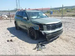 5XYP3DGC9SG659849 2025 KIA TELLURIDE