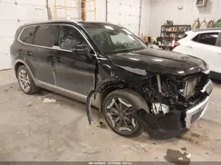 5XYP3DGC9SG666865 2025 KIA TELLURIDE