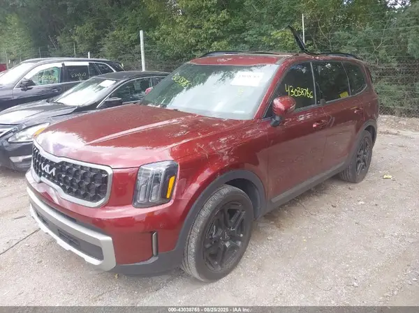 5XYP3DGCXPG339513 2023 KIA TELLURIDE - Image 2