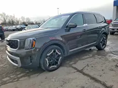 5XYP3DGCXPG380188 2023 KIA TELLURIDE