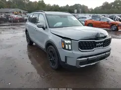 5XYP3DGCXPG393300 2023 KIA TELLURIDE