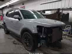 5XYP3DGCXPG408894 2023 KIA TELLURIDE