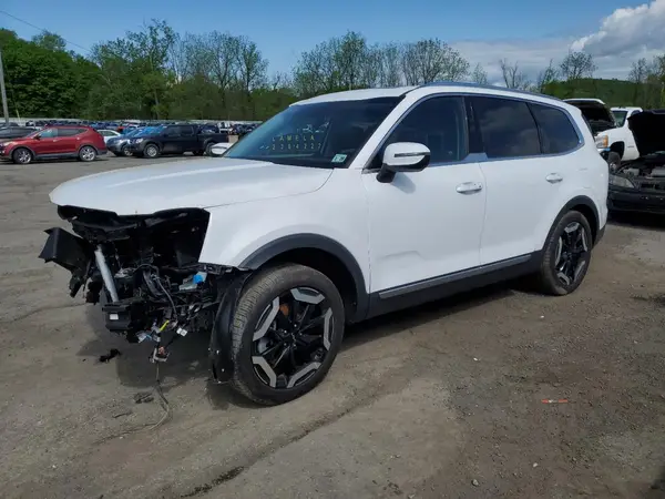 5XYP3DGCXRG470685 2024 KIA TELLURIDE - Image 1