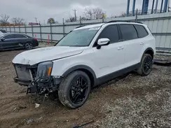 5XYP3DGCXRG502082 2024 KIA TELLURIDE