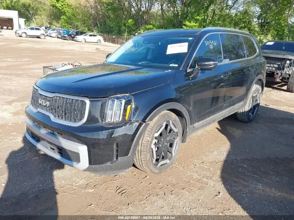 5XYP3DGCXRG505581 2024 KIA TELLURIDE - Image 2