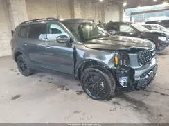 5XYP3DGCXRG519318 2024 KIA TELLURIDE