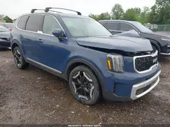 5XYP3DGCXRG533316 2024 KIA TELLURIDE