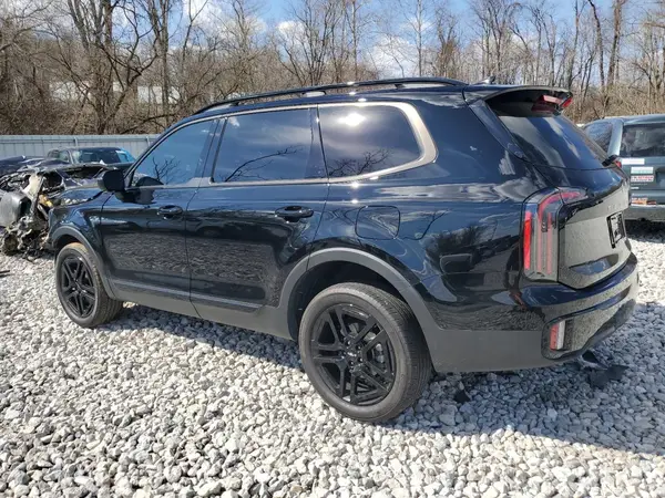 5XYP3DGCXRG541965 2024 KIA TELLURIDE - Image 2