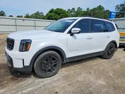 5XYP3DGCXRG548494 2024 KIA TELLURIDE