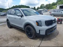 5XYP3DGCXRG554053 2024 KIA TELLURIDE