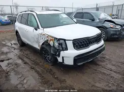 5XYP3DGCXSG582487 2025 KIA TELLURIDE