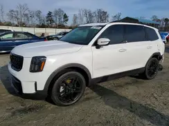 5XYP3DGCXSG613205 2025 KIA TELLURIDE