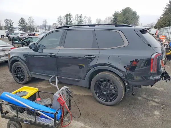 5XYP3DGCXSG613561 2025 KIA TELLURIDE - Image 2