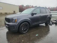 5XYP3DGCXSG627962 2025 KIA TELLURIDE