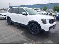 5XYP3DGCXSG655731 2025 KIA TELLURIDE