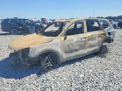 5XYP3DGCXSG662436 2025 KIA TELLURIDE