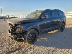 5XYP3DGCXSG720710 2025 KIA TELLURIDE
