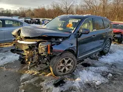 5XYP3DHC0LG039603 2020 KIA TELLURIDE