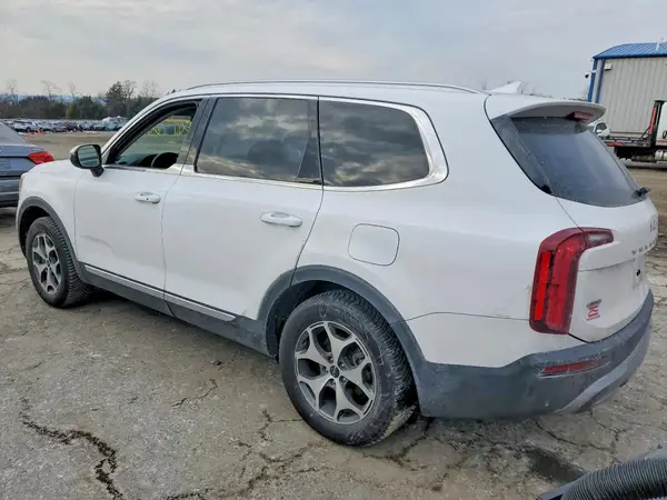 5XYP3DHC0NG316026 2022 KIA TELLURIDE - Image 2