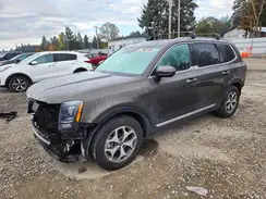 5XYP3DHC1LG001037 2020 KIA TELLURIDE