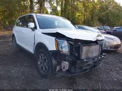 5XYP3DHC1LG003760 2020 KIA TELLURIDE