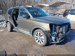 5XYP3DHC1LG063392 2020 KIA TELLURIDE