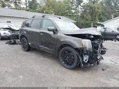 5XYP3DHC1NG199413 2022 KIA TELLURIDE